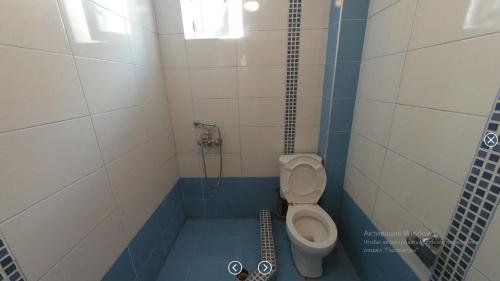 Бакуриани: Guest house Bakuriani