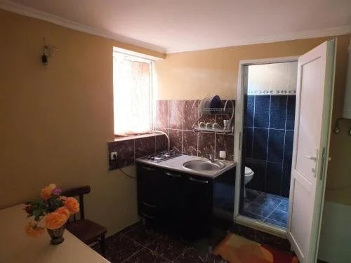 Боржоми: Guest House khatuna