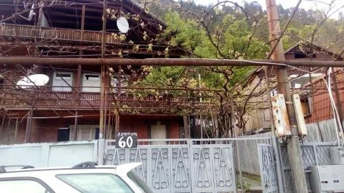 Guest House khatuna — фото 1
