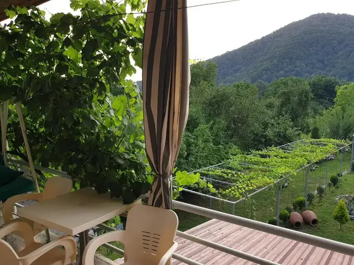 Лагодехи: Guest House Gardenia