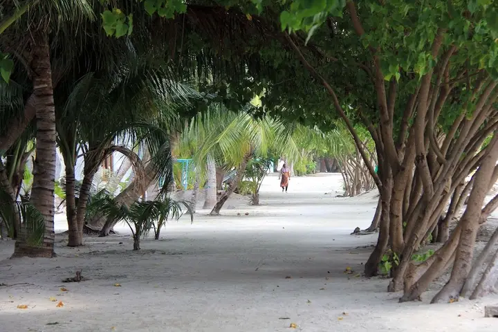 Южный Мале Атол: Rip Tide Beach