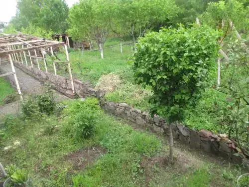 Ехегнадзор: Shushan B&B