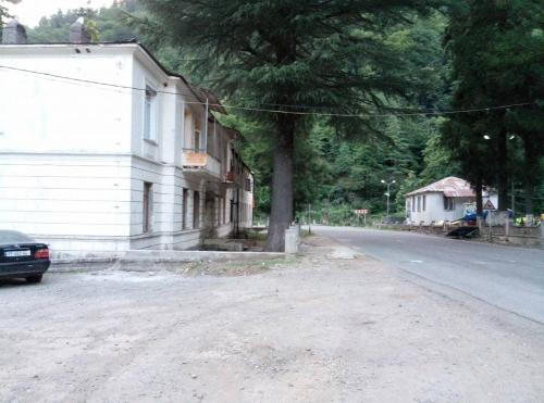 Кведа Бзубзу: Guesthouse in Makhuntseti