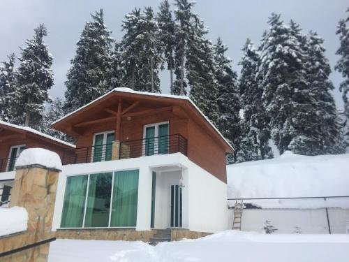 Бакуриани: Bakuriani Hotel