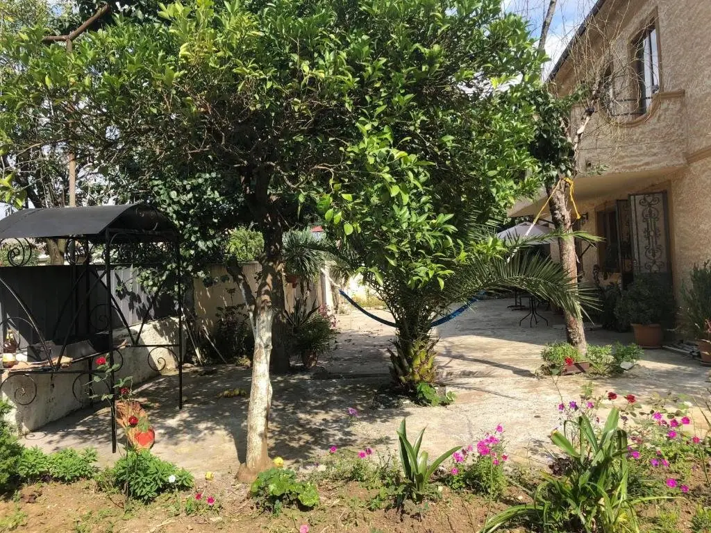 Батуми: Cico Guest House