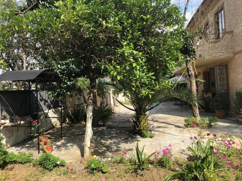 Батуми: Cico Guest House