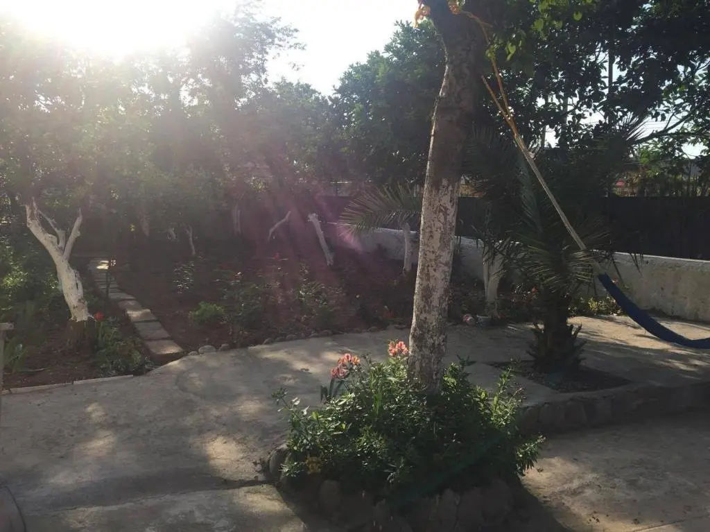 Батуми: Cico Guest House