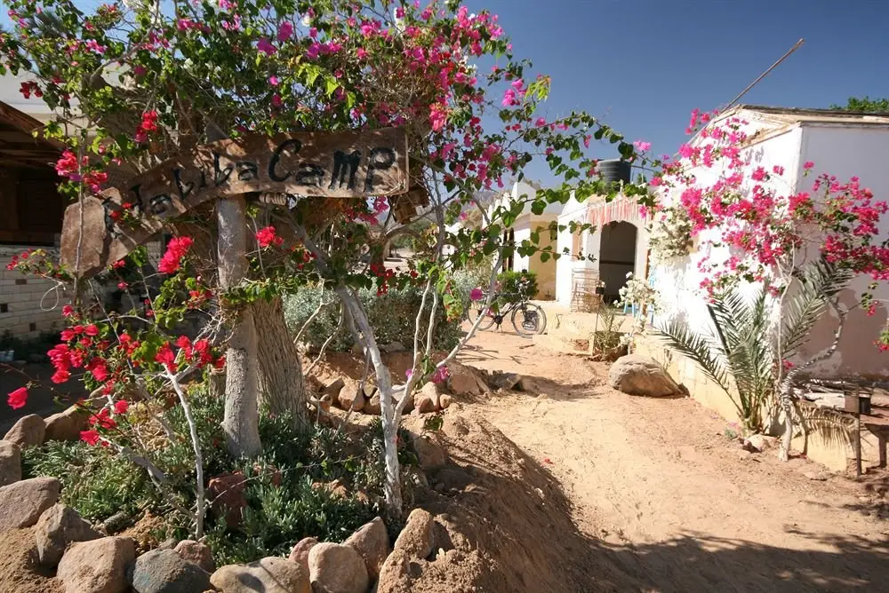 Нувейба: Habiba Camp