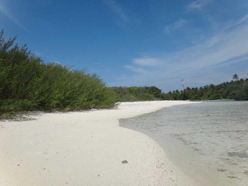 Северный атолл Мале: Thulusdhoo Stay Guest House
