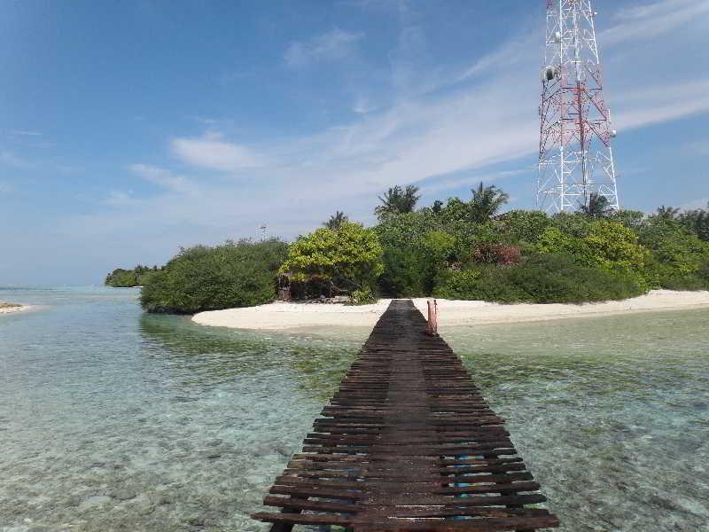Северный атолл Мале: Thulusdhoo Stay Guest House