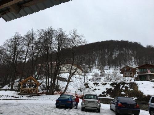 Бакуриани: Apartamenty v Bakuriani