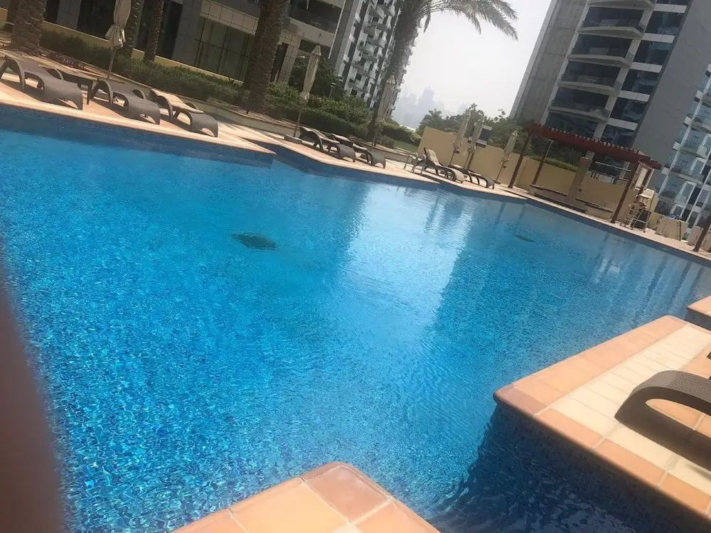 Дубай: Marvelous 2BR Apt. in Palm Jumeirah