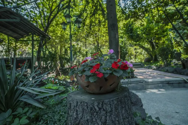 Тбилиси: Отель Toscano