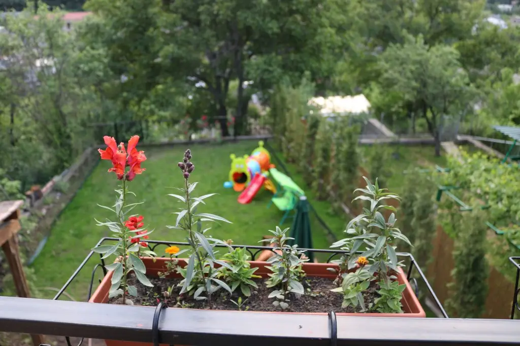 Дилижан: Вилла Dilijan Garen House