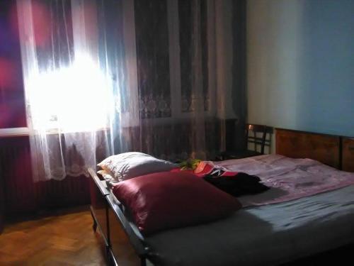 Кутаиси: 5 Ostrovski Street Guest House