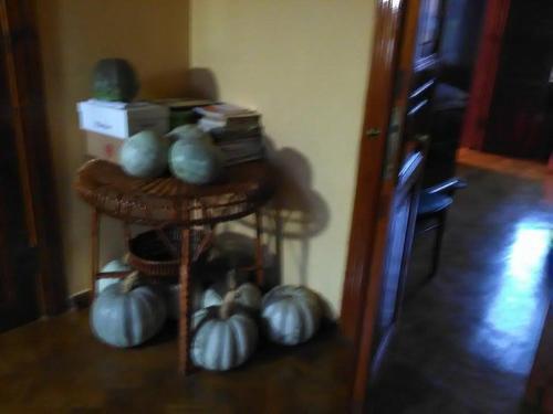 Кутаиси: 5 Ostrovski Street Guest House