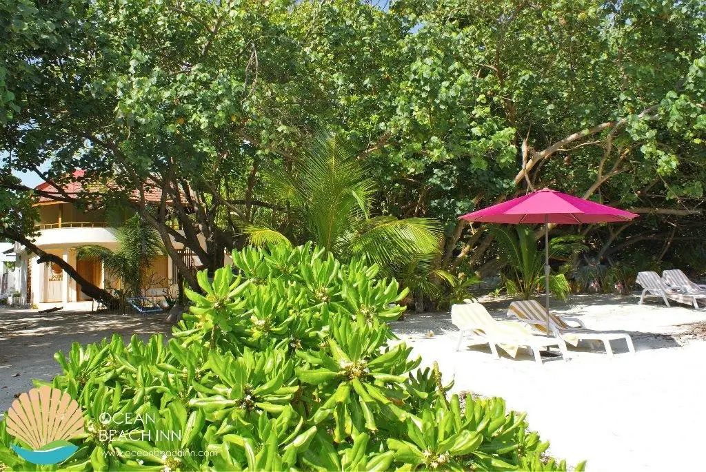 Атолл Алиф-Дхаалу: Гостевой дом Ocean Beach Inn - Maldives