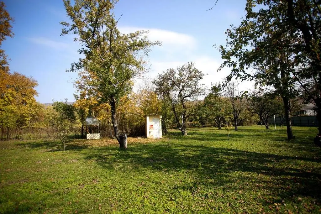 Тушуреби: Guest House Iaraji