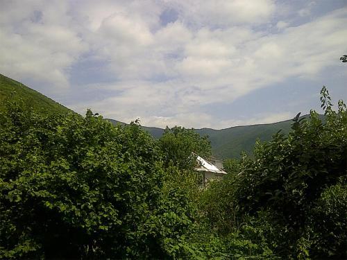 Шеки: Vaqif House
