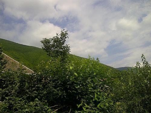 Шеки: Vaqif House