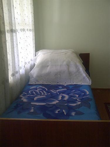 Шеки: Vaqif House