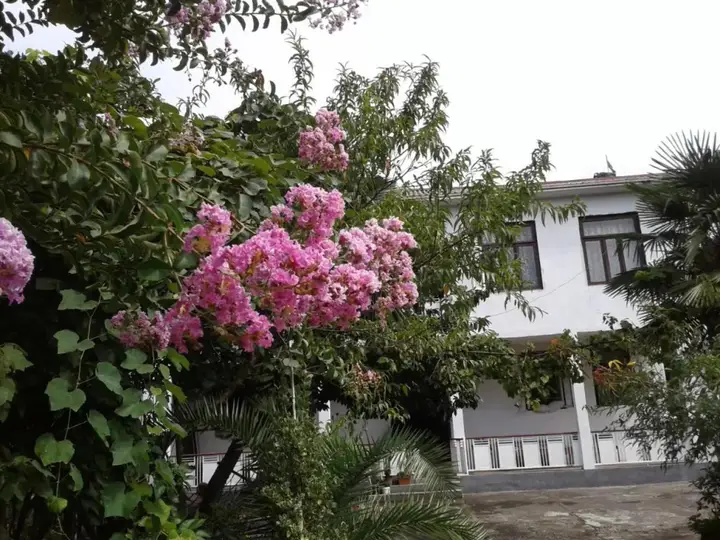 Батуми: Avto House