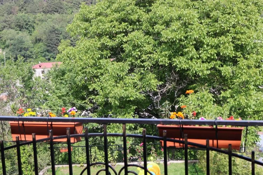 Dilijan Garden House — фото 1