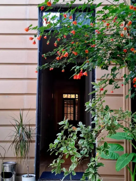 Батуми: Maiko Guesthouse