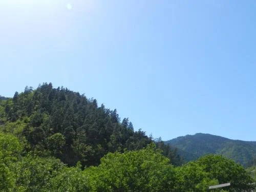 Боржоми: Zviad Guest House