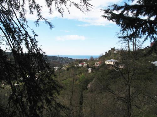 Батуми: Akhalsheni B&B