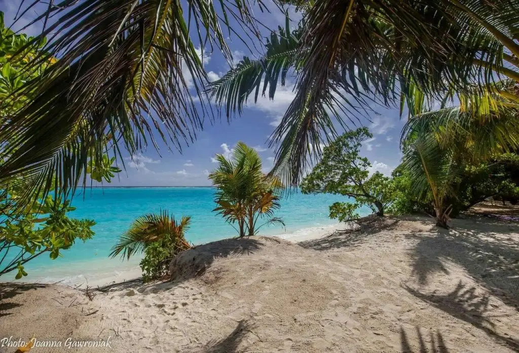 Атолл Алиф-Алиф: Thoddoo beach view Maldives