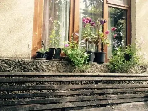Телави: Guest House Gzirishvili