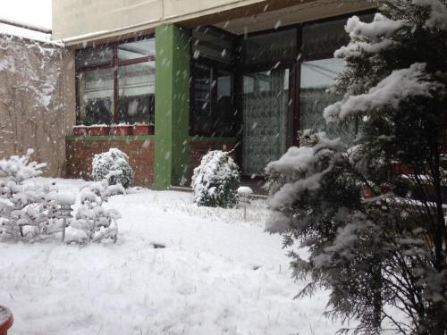 Тбилиси: City Inn Guesthouse