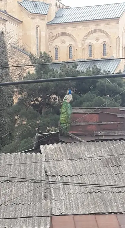 Тбилиси: Гостевой Дом Id House