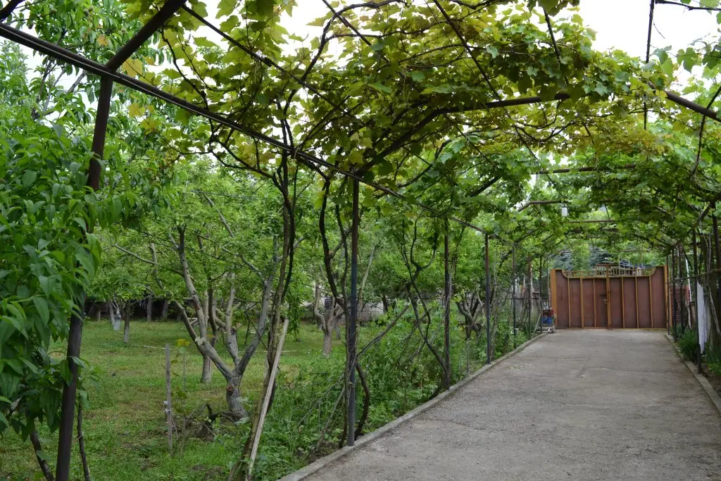 Мцхета: Гостевой Дом Saguramo Garden
