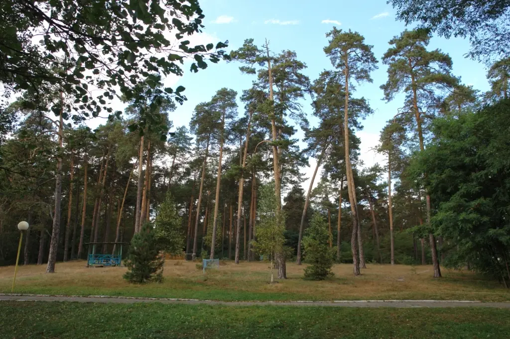 Белое Озеро: Berest'e