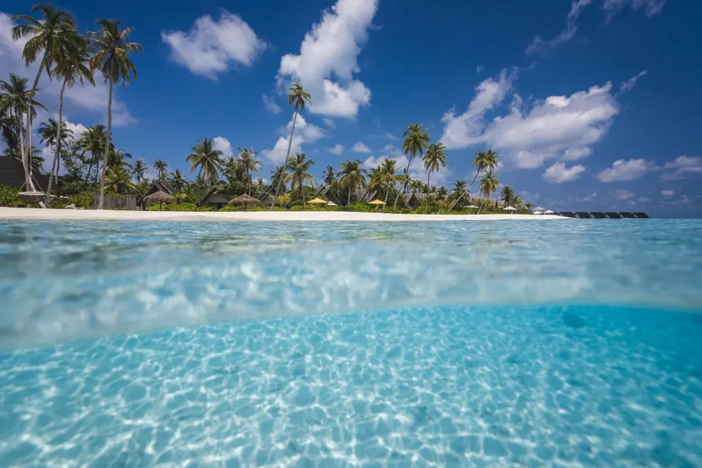 Атолл Лхавийани: Курортный Отель Fushifaru Maldives