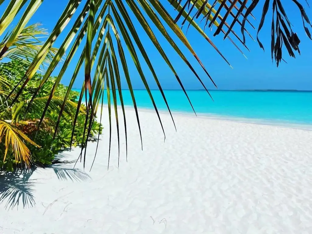 Атолл Хаа-Дхаалу: Отель Hondaafushi Island Resort