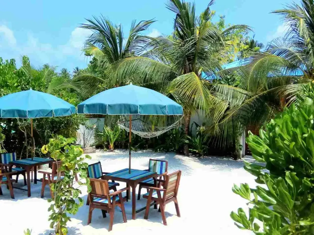 Атолл Алиф-Дхаалу: Oliva Palm Cottages
