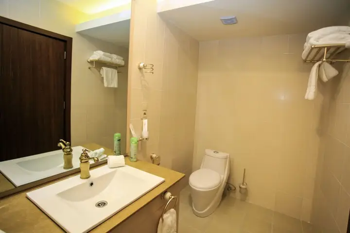 Тбилиси: Отель Pirimze Plaza