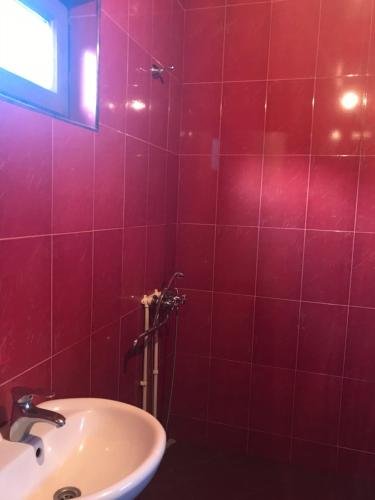 Степанцминда: Guest House Jamarjeti
