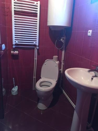 Степанцминда: Guest House Jamarjeti