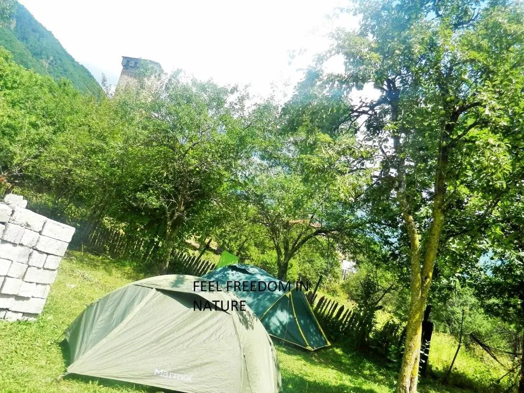 Местиа: Guest house Katia