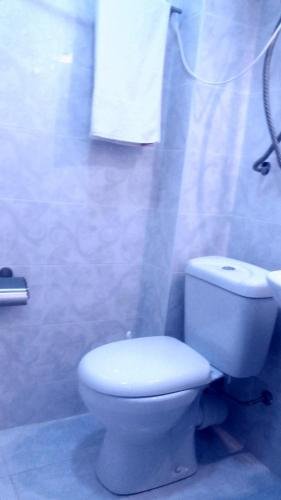 Местиа: Family Hotel Kala