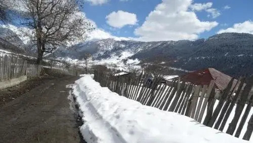 Местиа: Tetnuldi Paradise