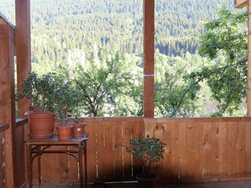 Местиа: Irina's Guesthouse