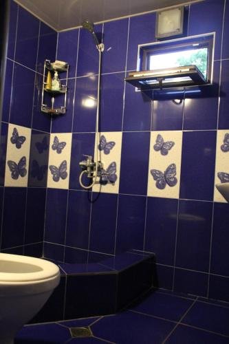 Местиа: SALI Guest House