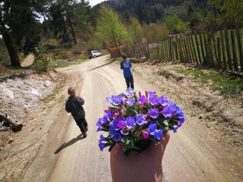 Местиа: Heshkili huts Svaneti