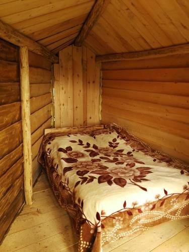 Местиа: Heshkili huts Svaneti