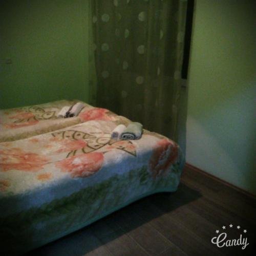 Местиа: Margiani Guest house